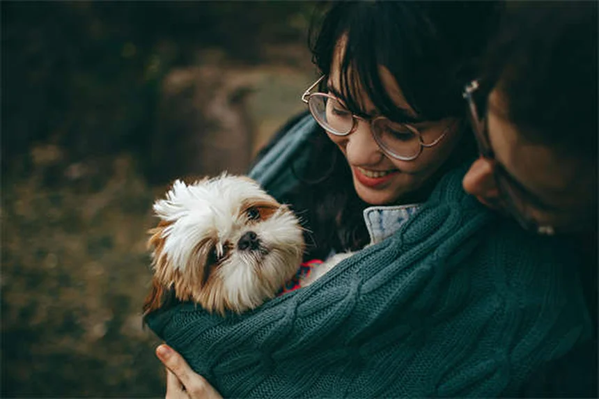 エンゼルフィッシュの飼育法｜5つの知っておきたい特徴とコツ